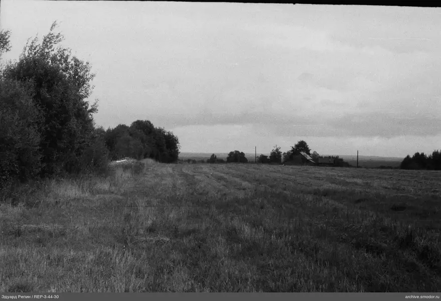 Feld mit Bäumen und Gebäuden