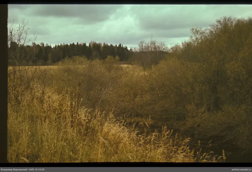 Landscape with field, forest and stream