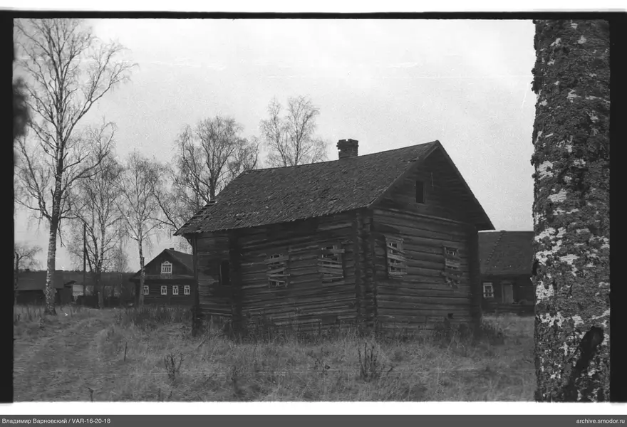 Holzblockhaus und Birken