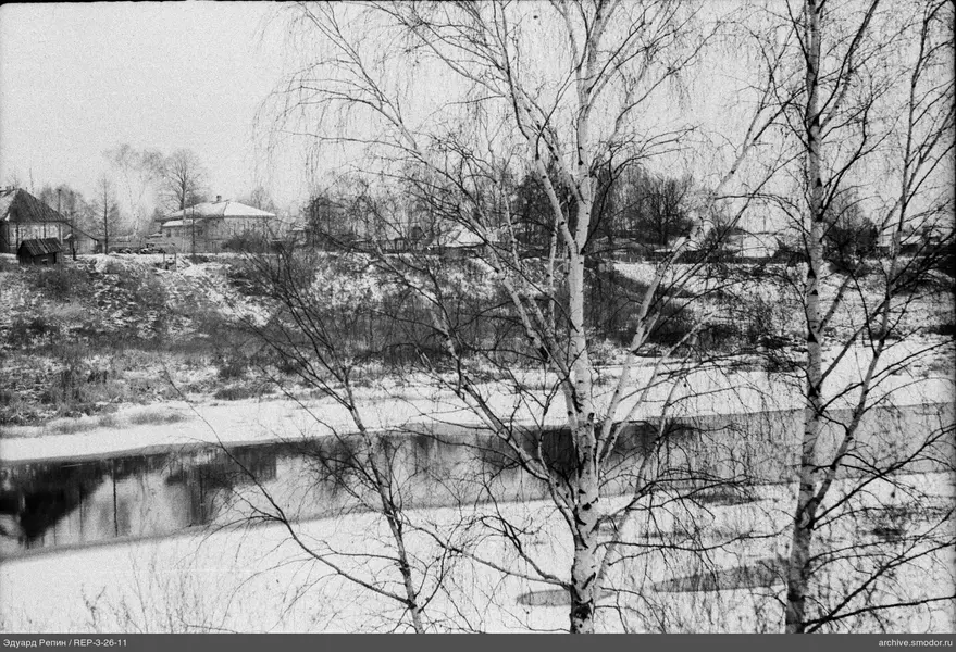 Birken und Flussaufnahme